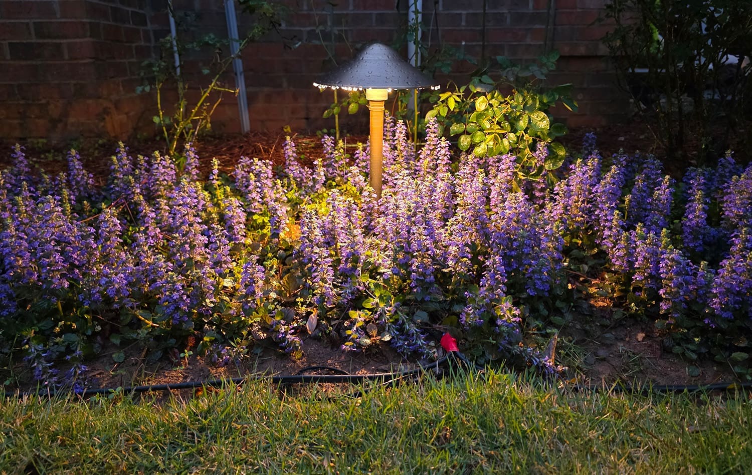 Brightscape Solutions is your go-to for home lighting needs in the Auburn-Opelika area.
